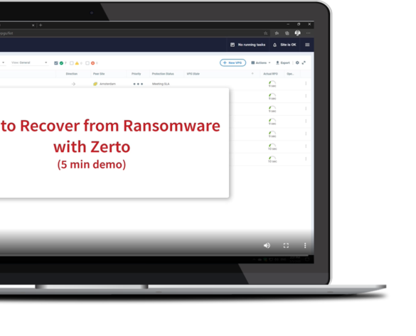 Platform-in-action-ransomware
